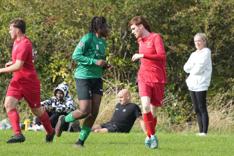 dsc07042-standard-vs8fz3.jpg