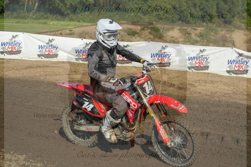 dsc07557-standard.jpg