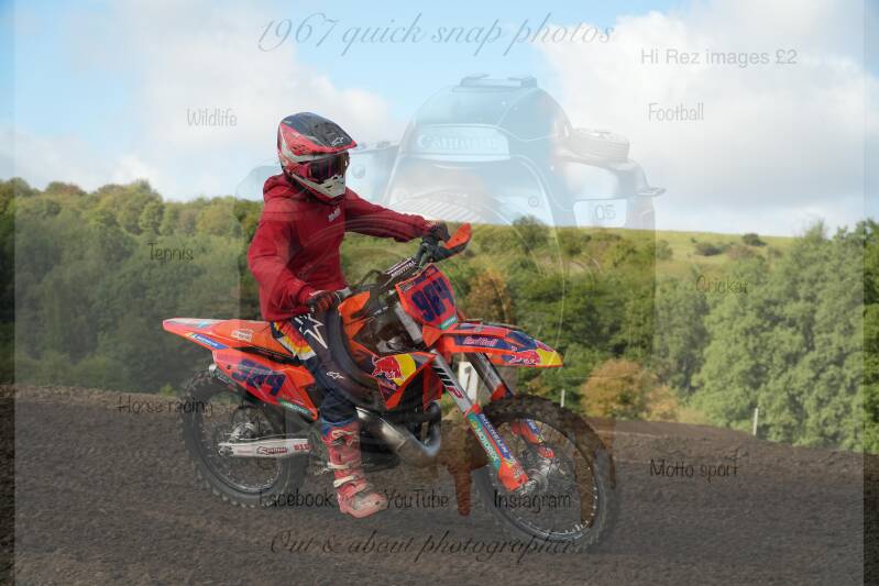 dsc07816-standard.jpg