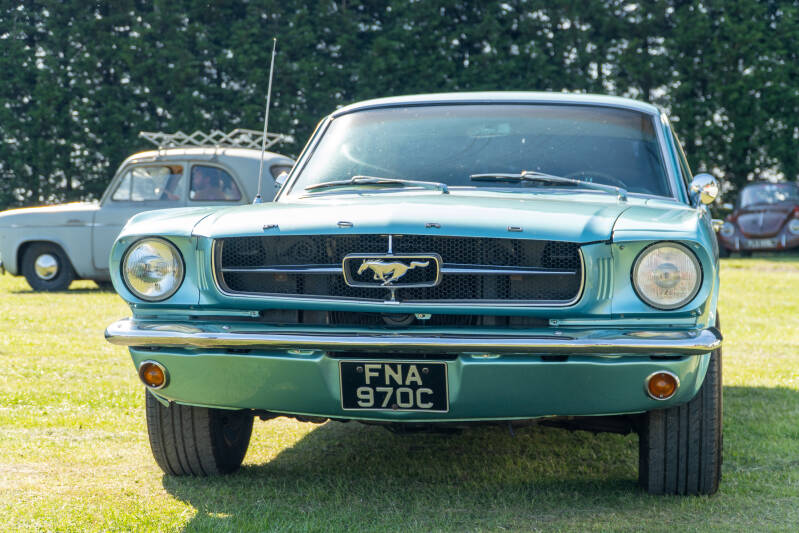dsc07849-standard.jpg