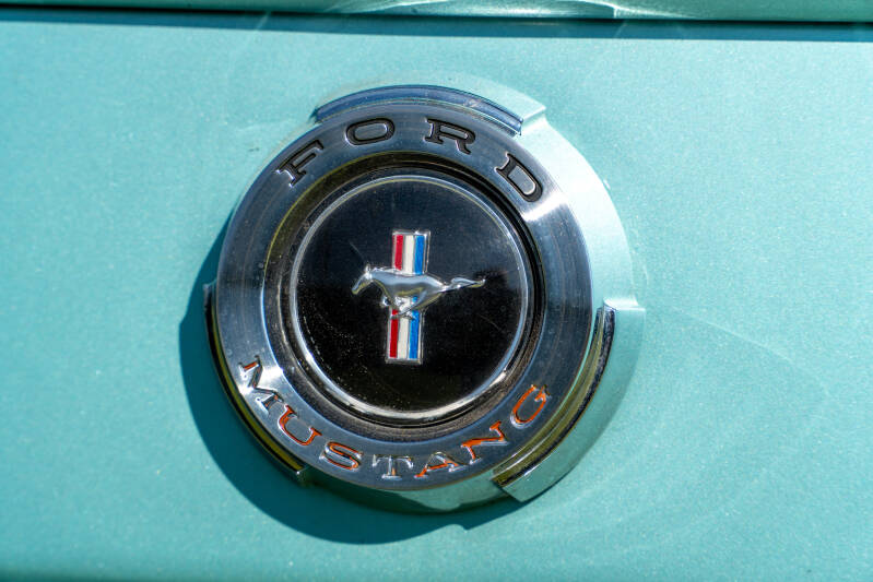 dsc07854-standard.jpg