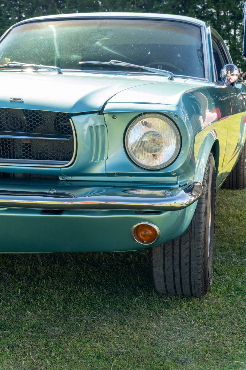 dsc07857-standard.jpg