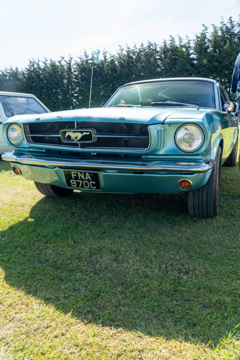 dsc07858-standard.jpg