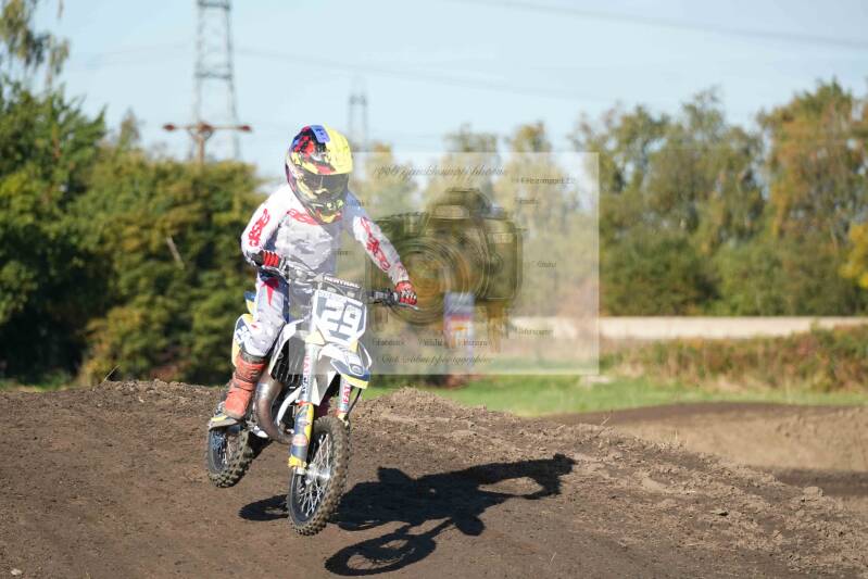 dsc08015-standard.jpg