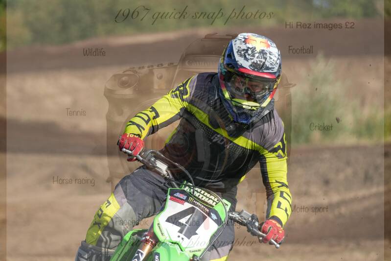 dsc08133-standard.jpg