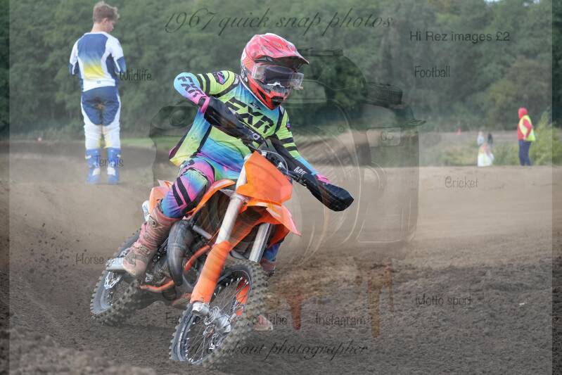 dsc08170-standard.jpg
