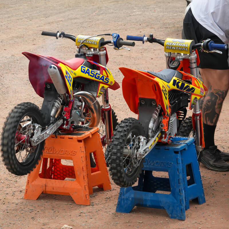 dsc08220-standard.jpg