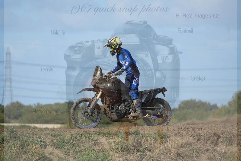 dsc09246-standard.jpg
