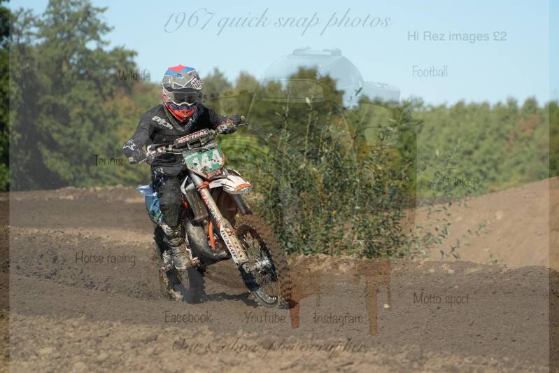 dsc09656-standard.jpg