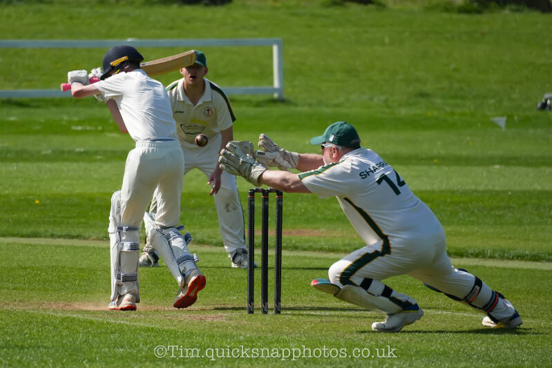 img_2774-standard.jpg