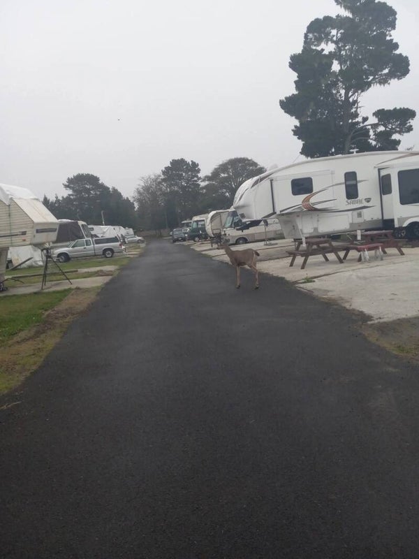 Dry camp no power $45.00 per night