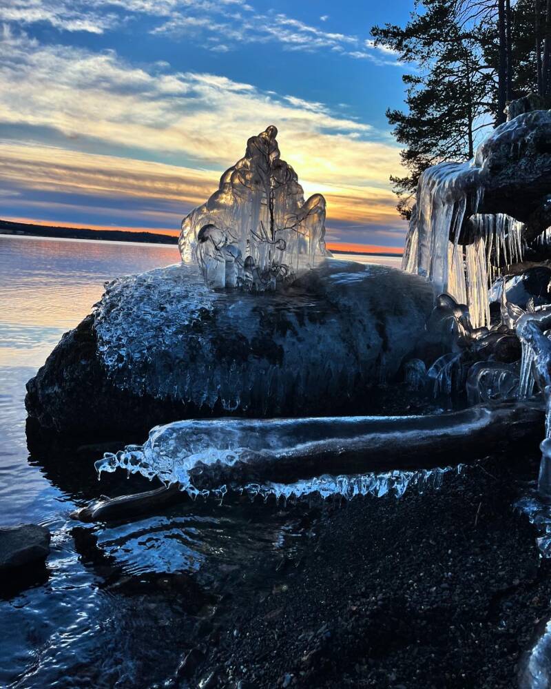 Att förundras i naturen är antiinflammatoriskt. En sen höst dag 2024, på Bynäset visade naturen upp fantastiska skapelser av is.  