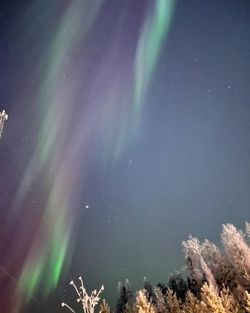 1 januari 2025 startade med magiska norrsken över Östersund &amp; Jämtland