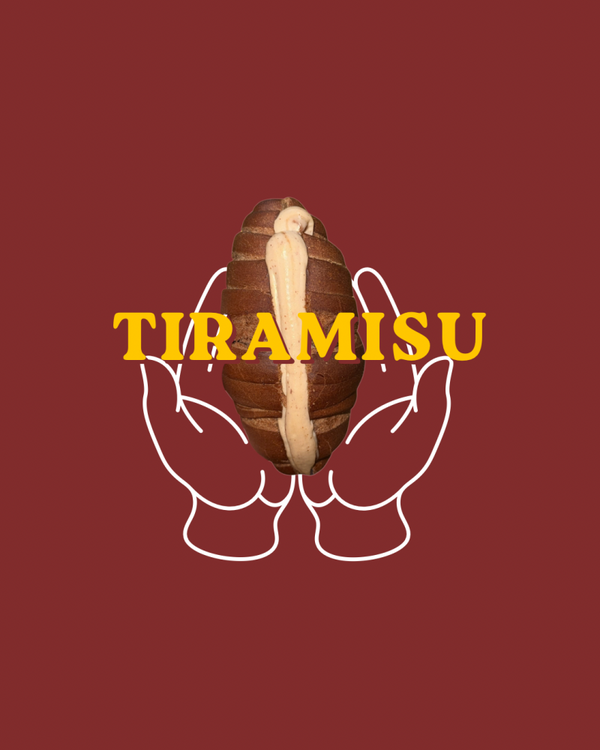 8 PCS Tiramisu Salt Bread