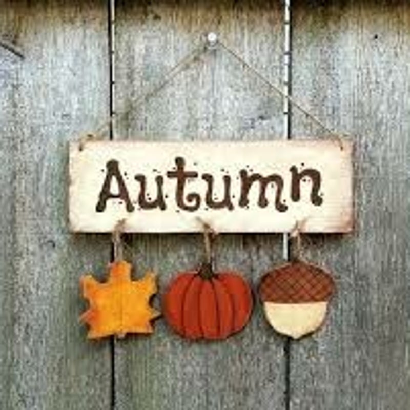 outsidedecorations.jpg