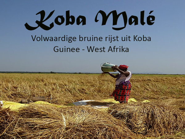 Bruine rijst