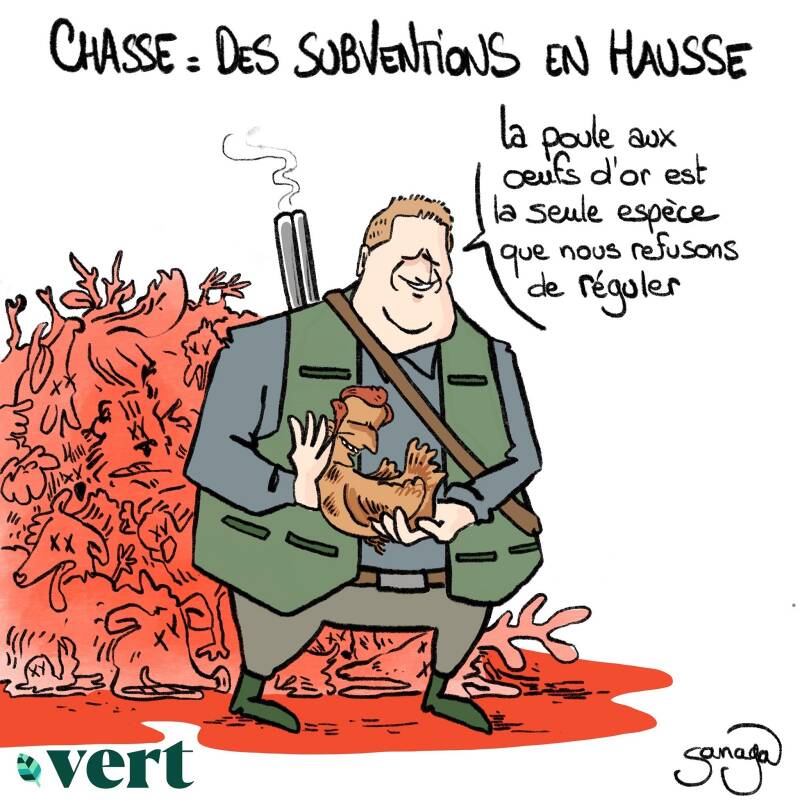 chasse-des-subventions-en-hausse-standard.jpg