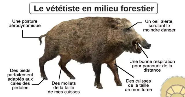 https___media-topito-com_wp-content_uploads_2018_10_une_redac_memes-decentralises-standard.webp
