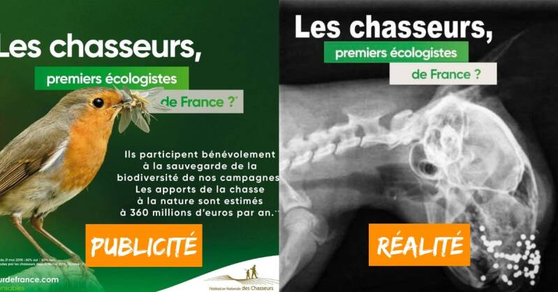 image-une-spot-campagne-publicite-chasseurs-premiers-ecologistes-france-standard.jpg