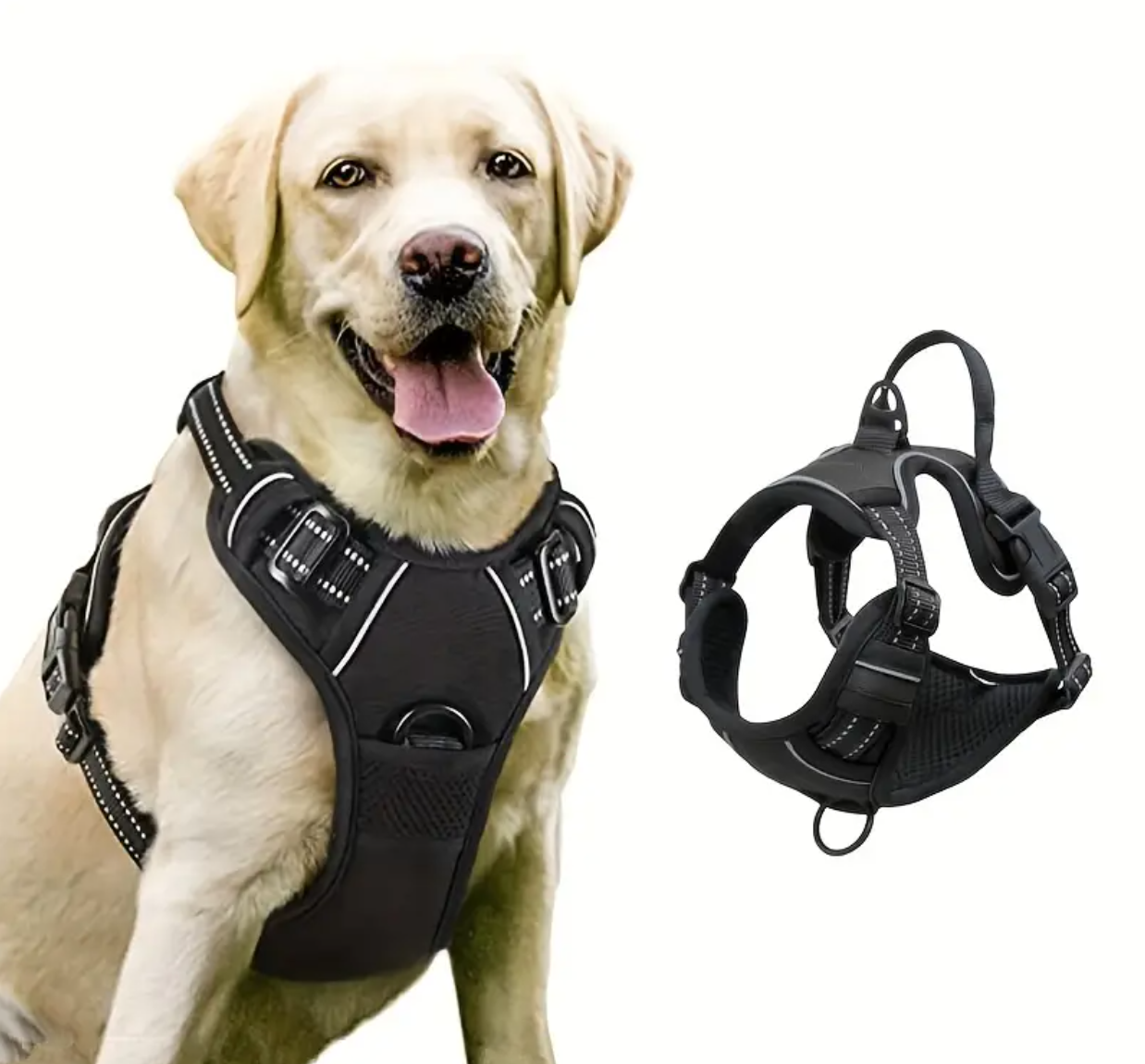 Dog Leash - Soft Padded Adjustable Vest
