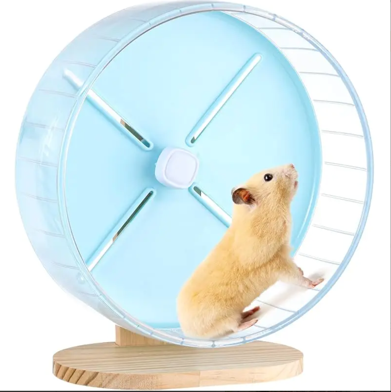 Hamster Exercise Wheel