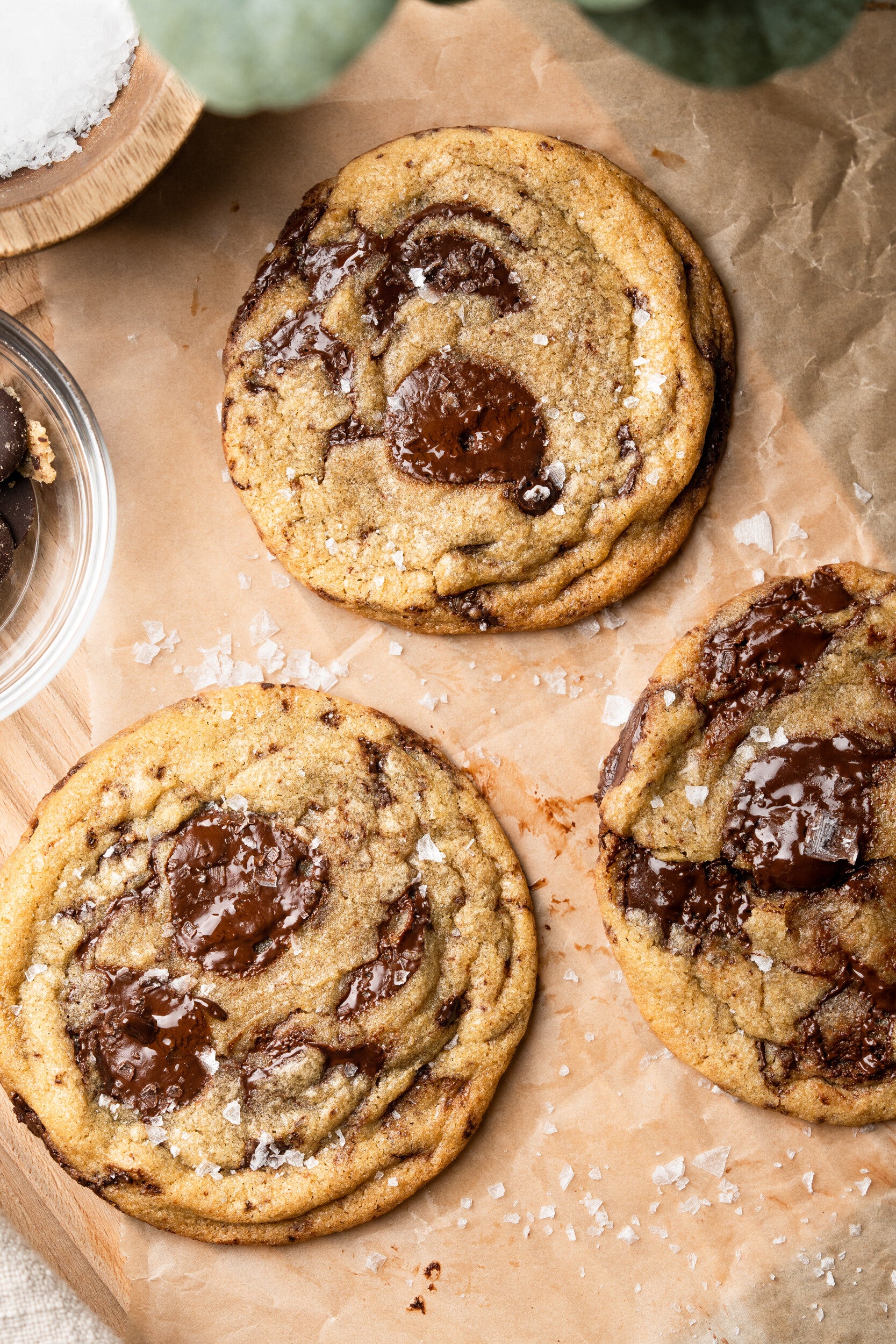Chocolate Chip