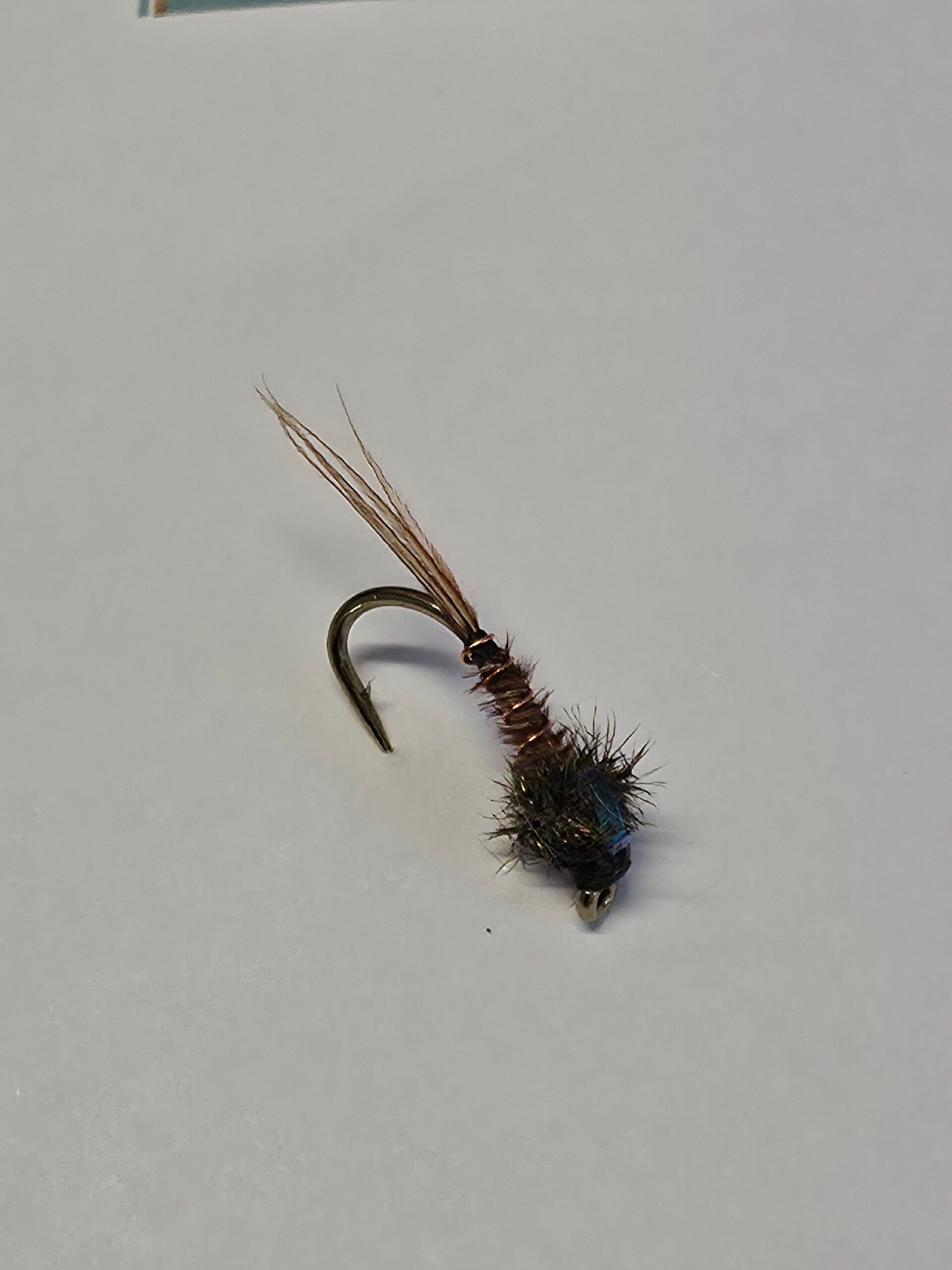 Flashback Pheasant Tail