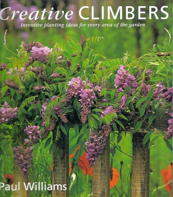 Creative Climbers: Inventive Ideas for Growing Plants in Every Area of the Garden