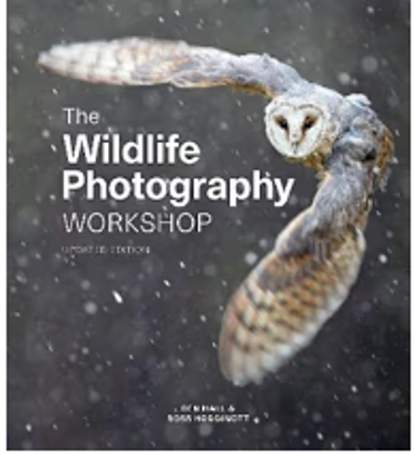 The Wildlife Photography Workshop