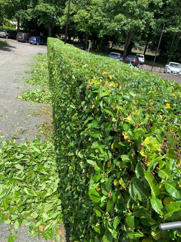 Entretien de vos espaces verts