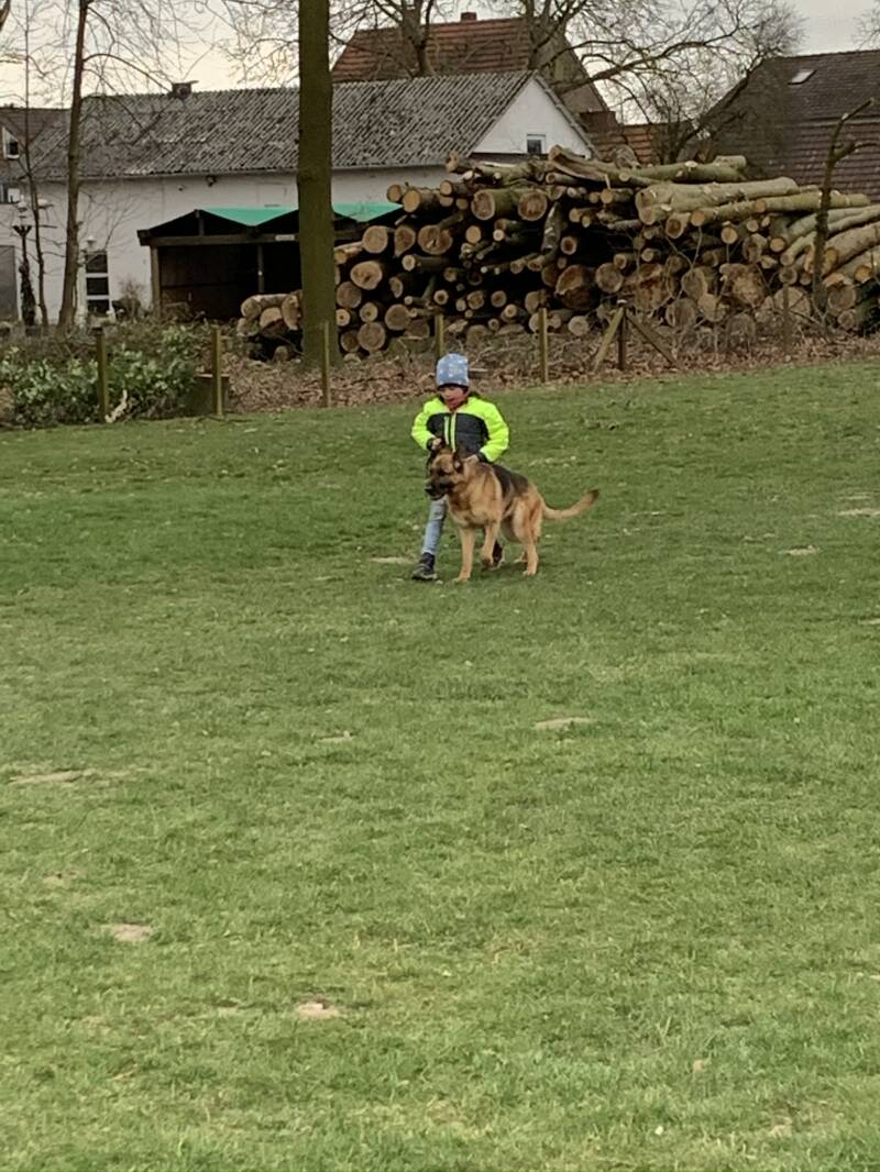 Übungseinheit Unterordnung