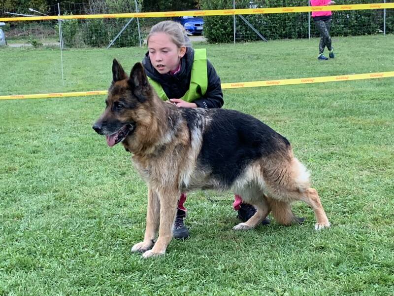 Zuchtschau Ortsgruppe Espelkamp