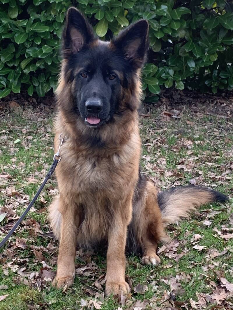 Marla / Eigentümerin: Sarah Wobker