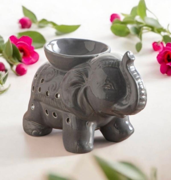 Brûleurs Eléphant gris