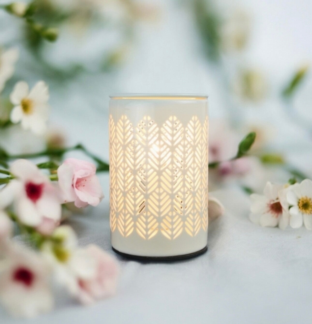 Brûleurs électrique