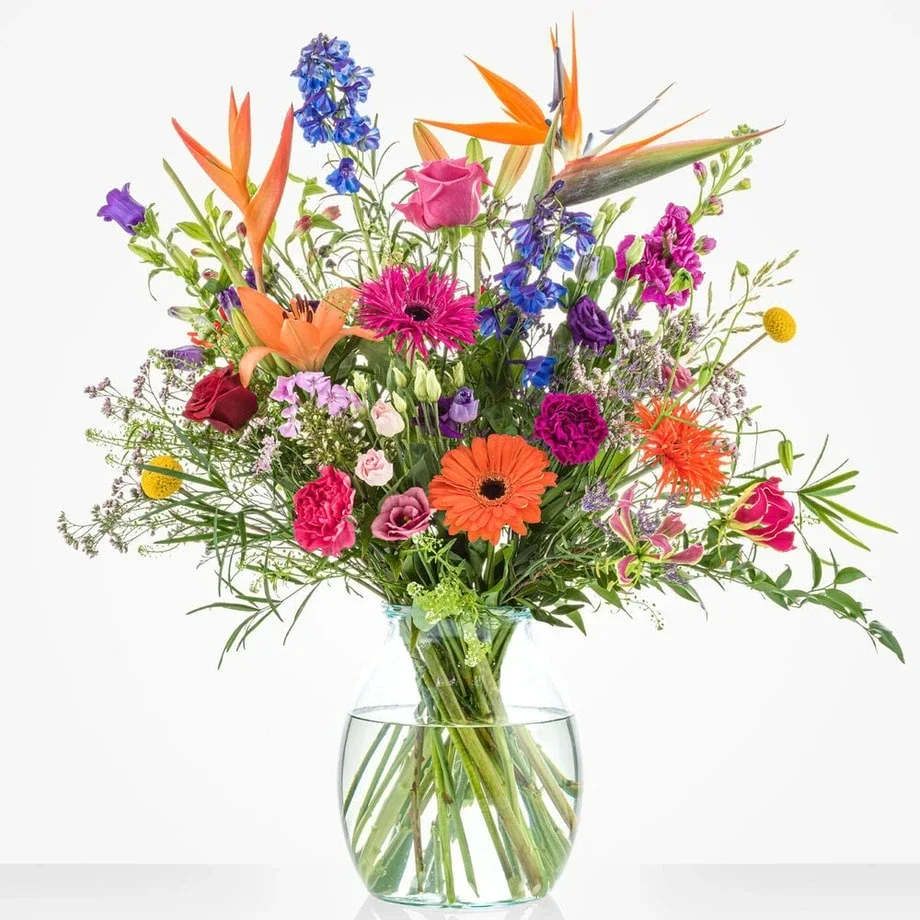 Kleuren explosie