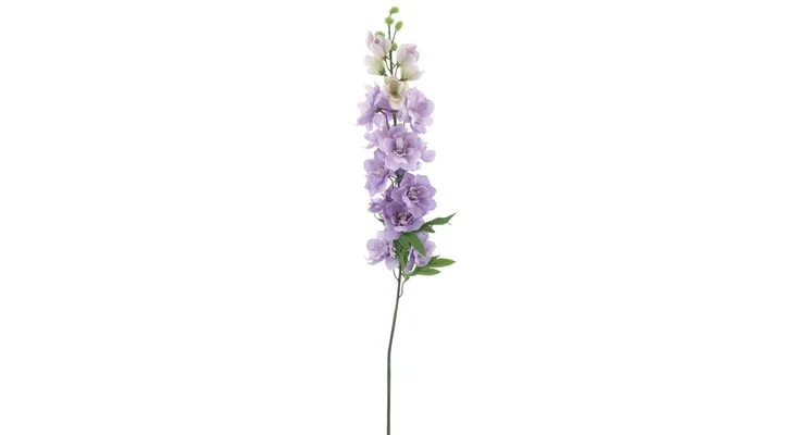 Delphinium Christel Purple