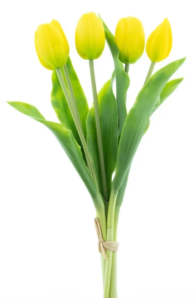 Tulpen Geel