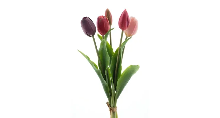 Tulpen Bundel Paars/Roze