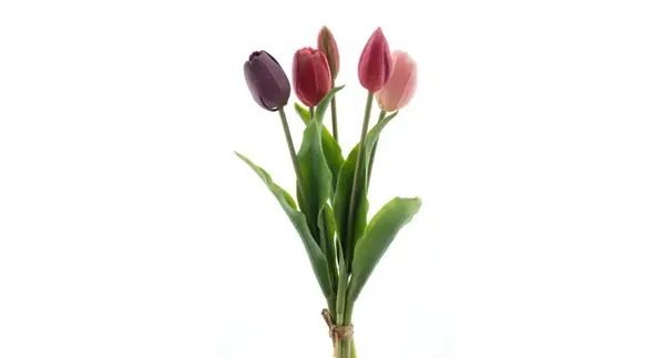 Tulpen Bundel Paars/Roze