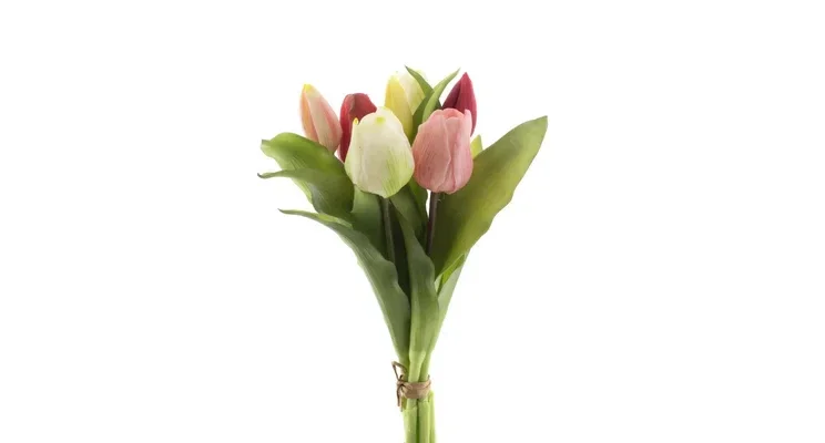 Tulpen Combo roze