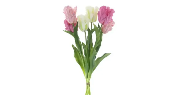 Tulpen Gemengd Combo roze