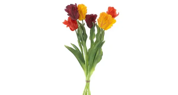 Tulpen Gemengd Combo Oranje