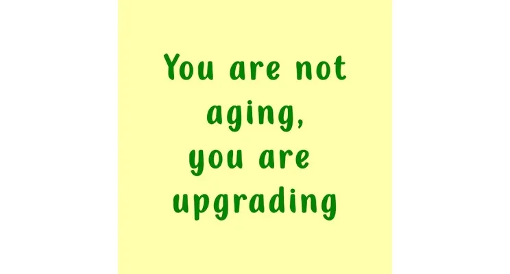 Tegeltje – You are not aging, you are upgrading