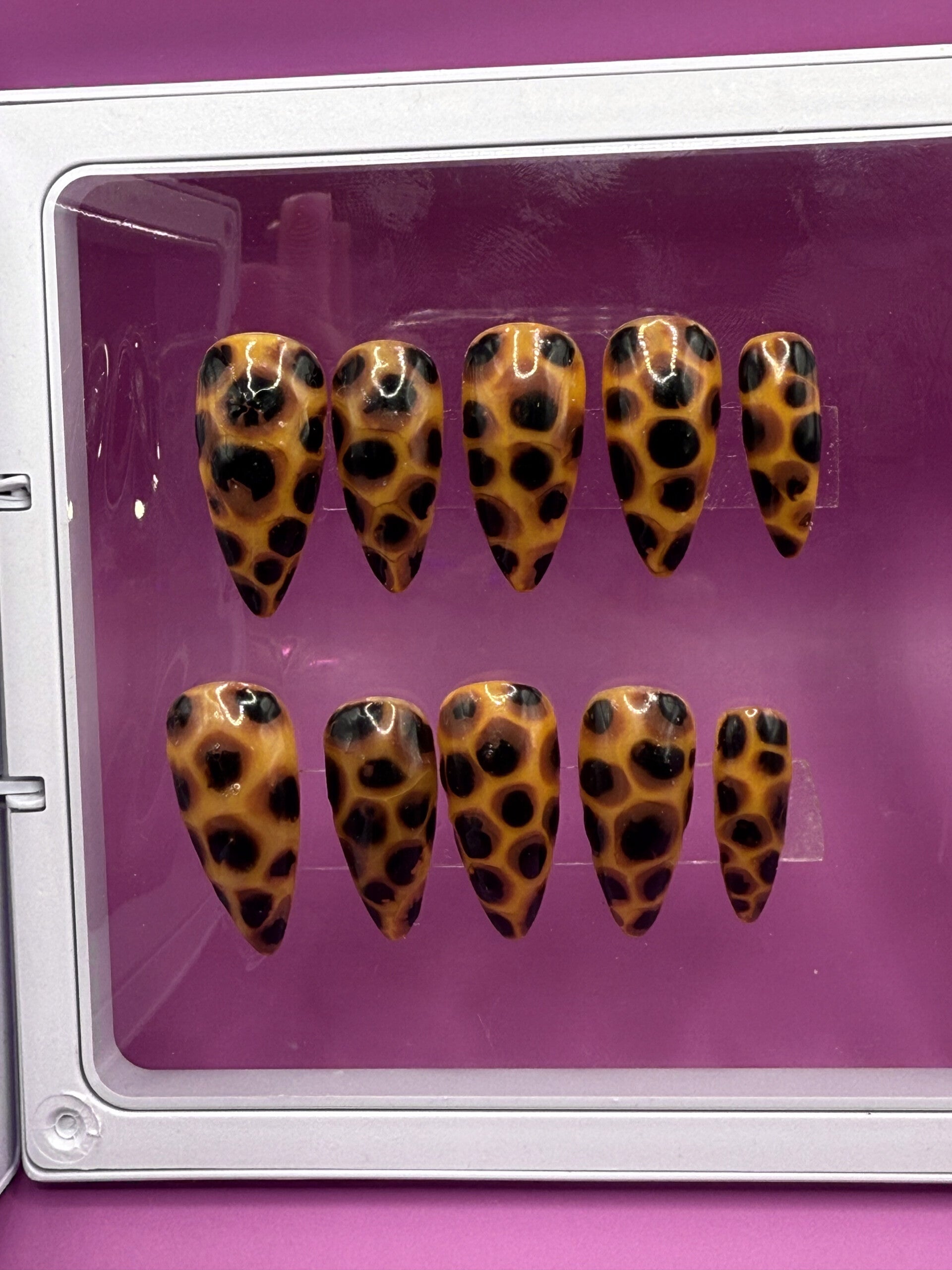 Tortoiseshell (large)