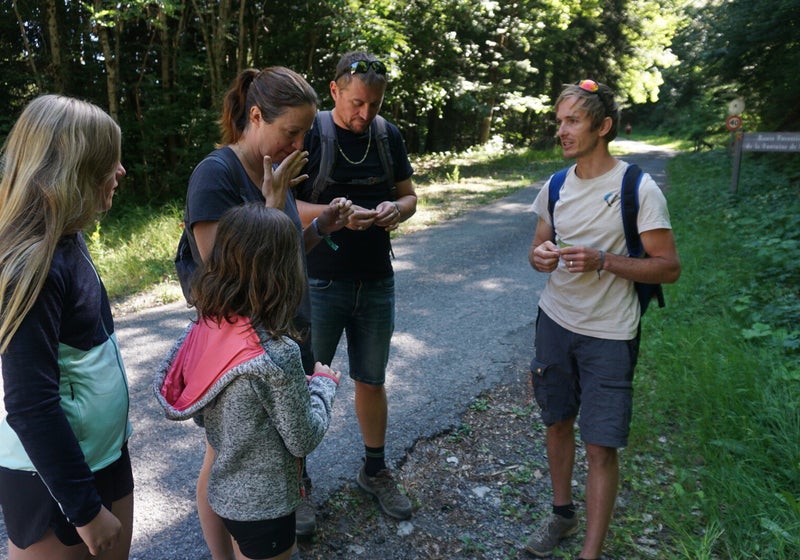 Balade Découverte des Plantes Sauvages Comestibles (1h30) - Photo 2