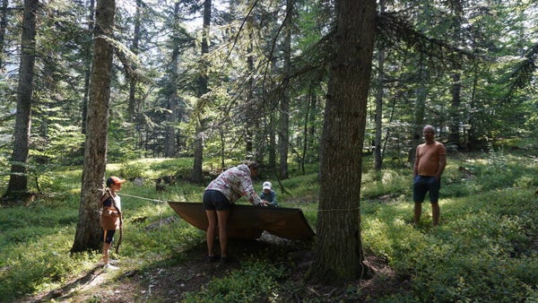Aventure naturaliste avec bivouac en forêt 24h