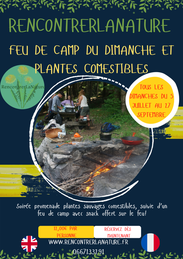 Dimanche, Soirée feu de camp et plantes comestibles