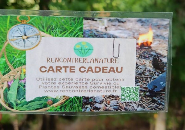 Carte cadeau programme journée