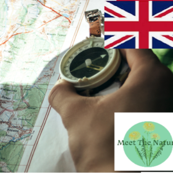 Survival Course Experience (in english)